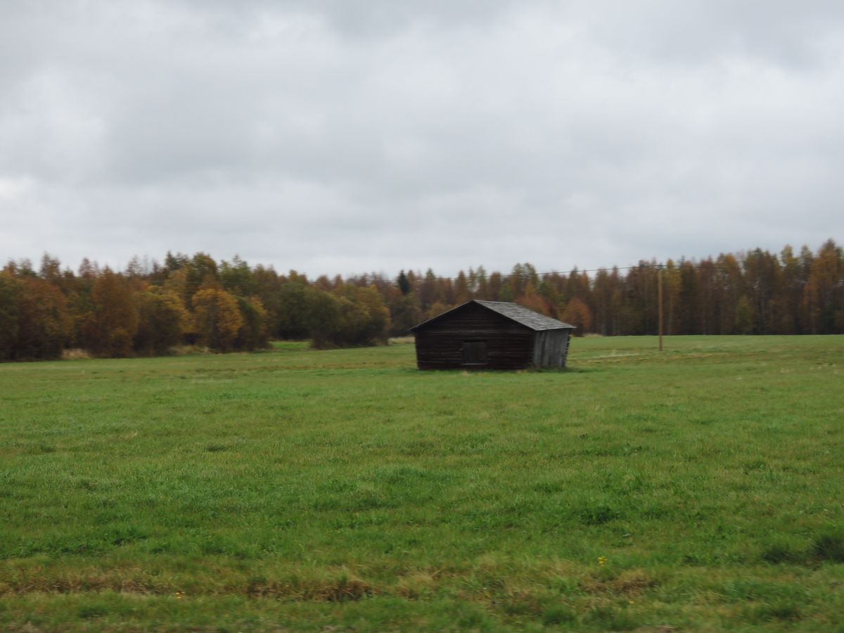 Cabane typique au milieu des champs