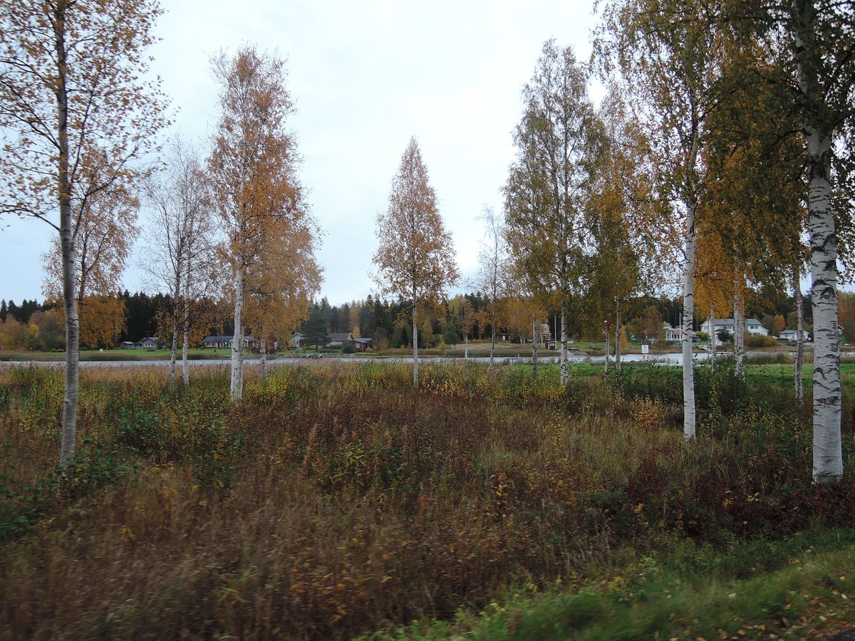 Piste cyclable avant Piteå