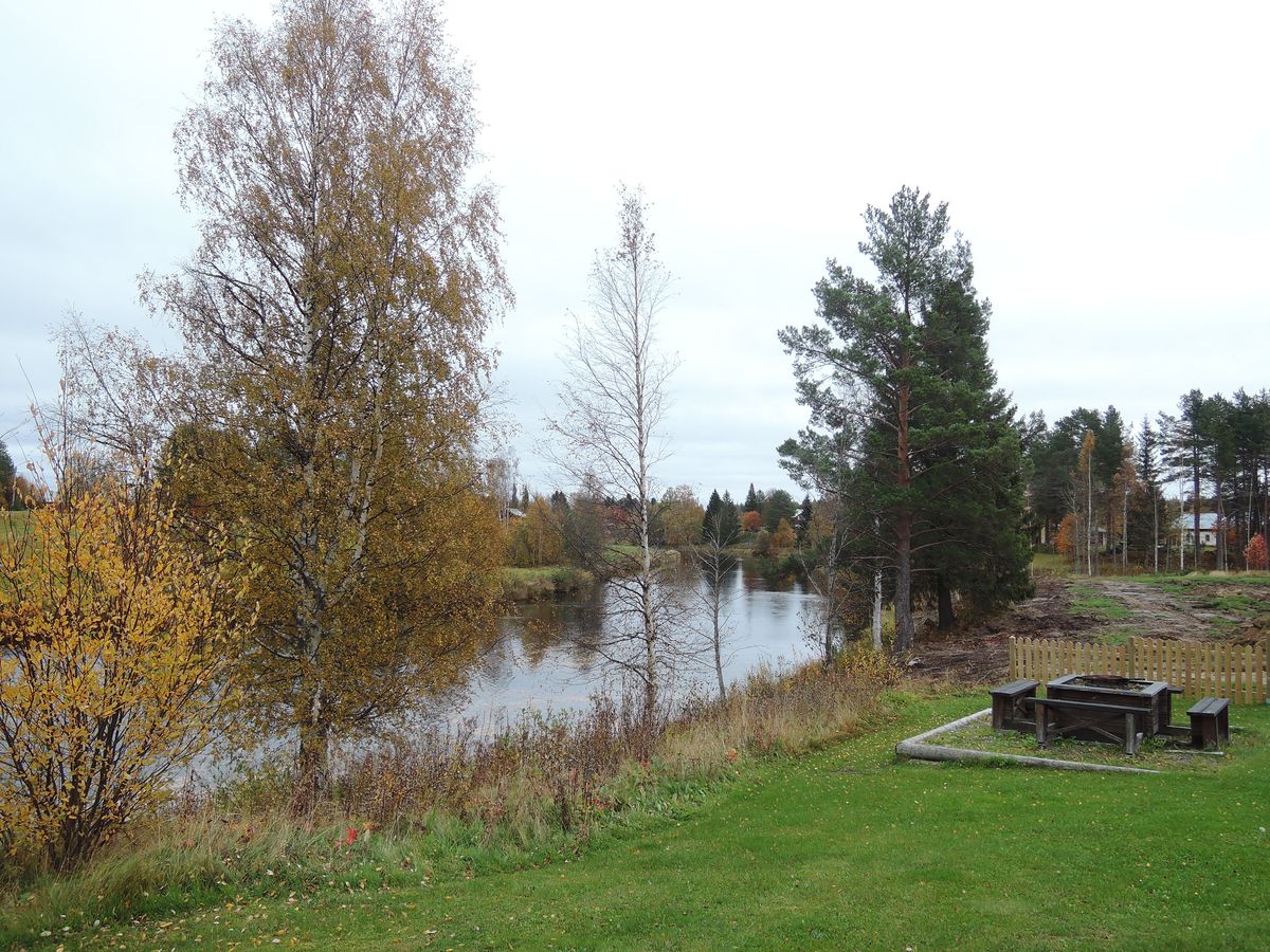Au bord d'une rivière