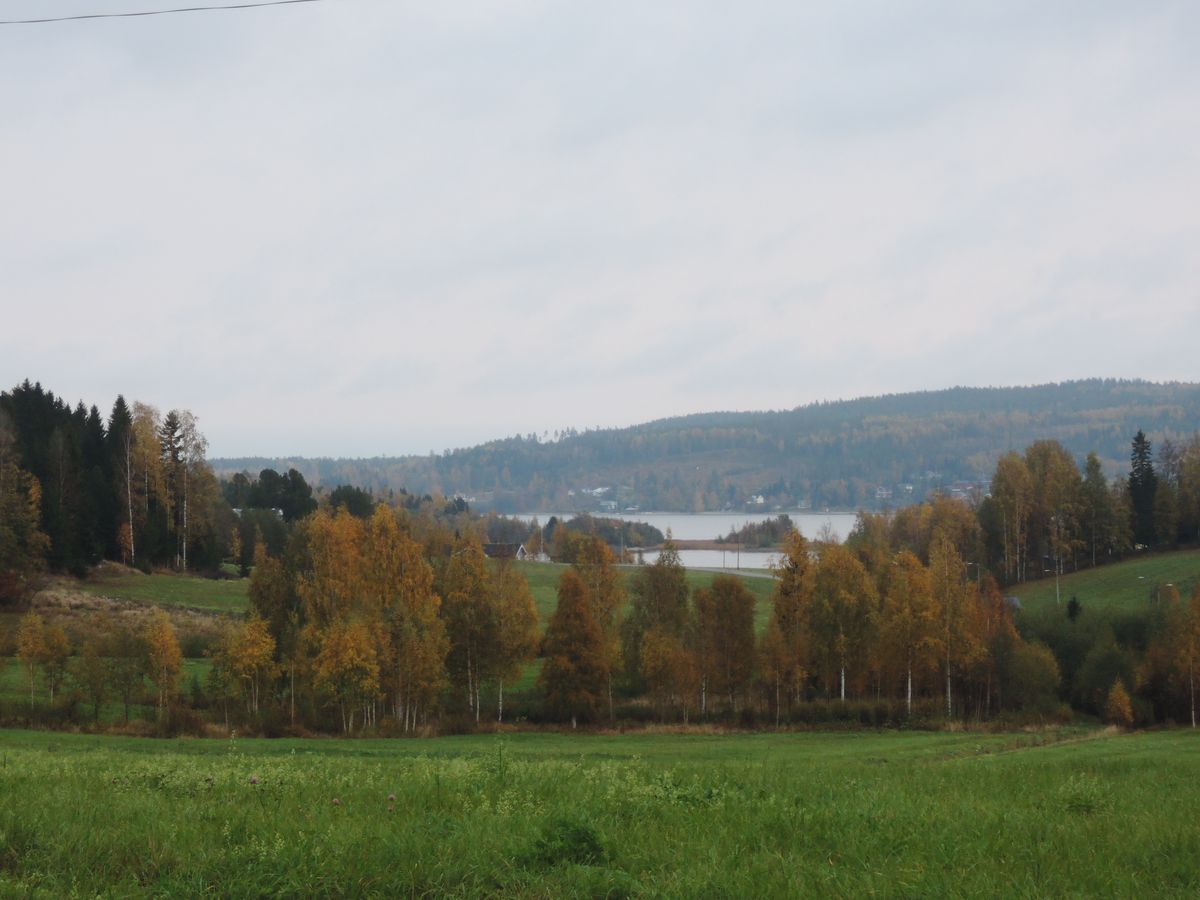 Vue depuis notre camping