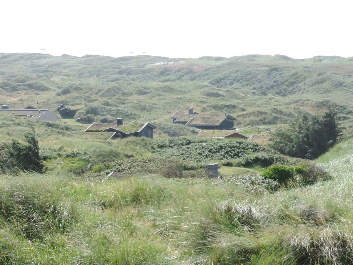 Maisons dans les dunes de Sønder Kettrup