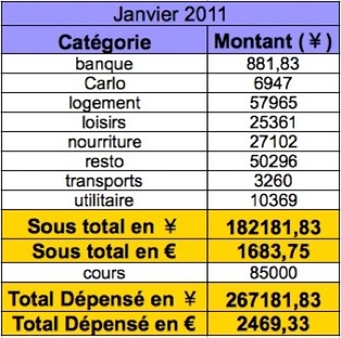 nos dépenses en jan 2011