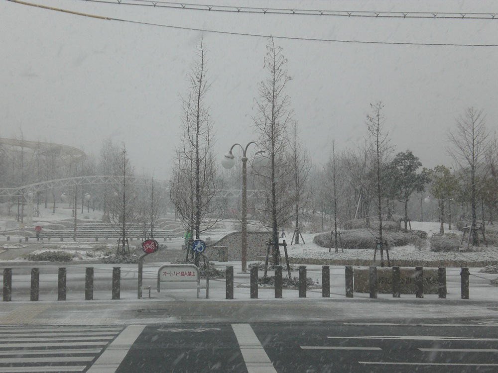 L'entrée du parc à côté de chez nous
