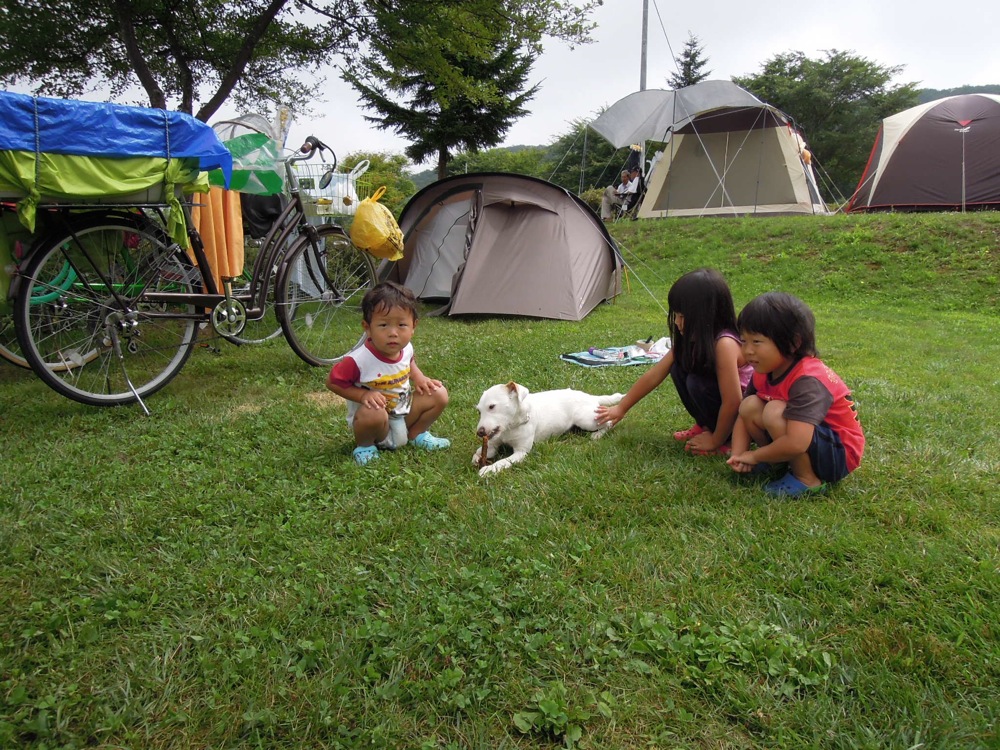 Camping Nauman: nos jeunes voisins sont fans de Carlo, surtout le plus jeune!