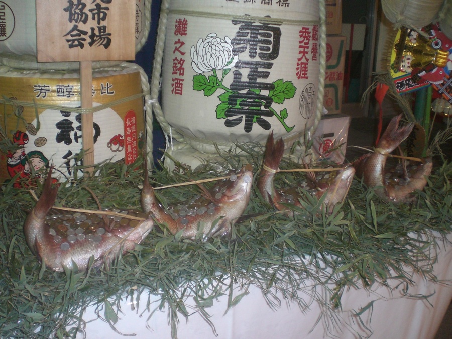 Les petits poissons prennent la pose devant les bidons de sake
