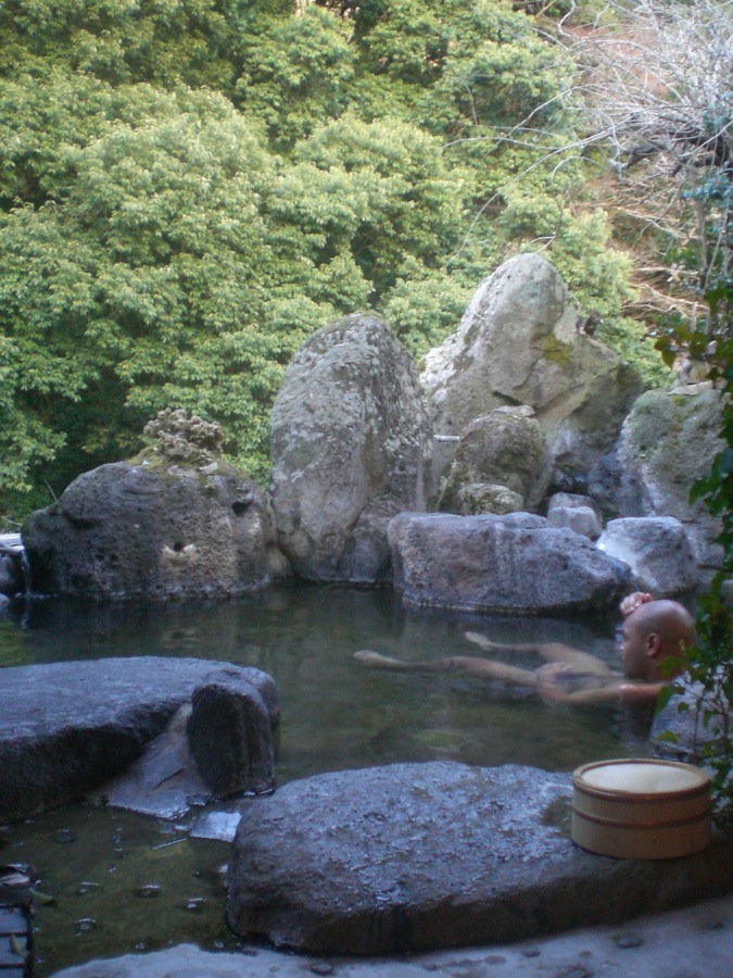 Rotemburo du Ryokan: un bain au milieu d'une nature magnifique (et une belle plante dans l'eau également..!)