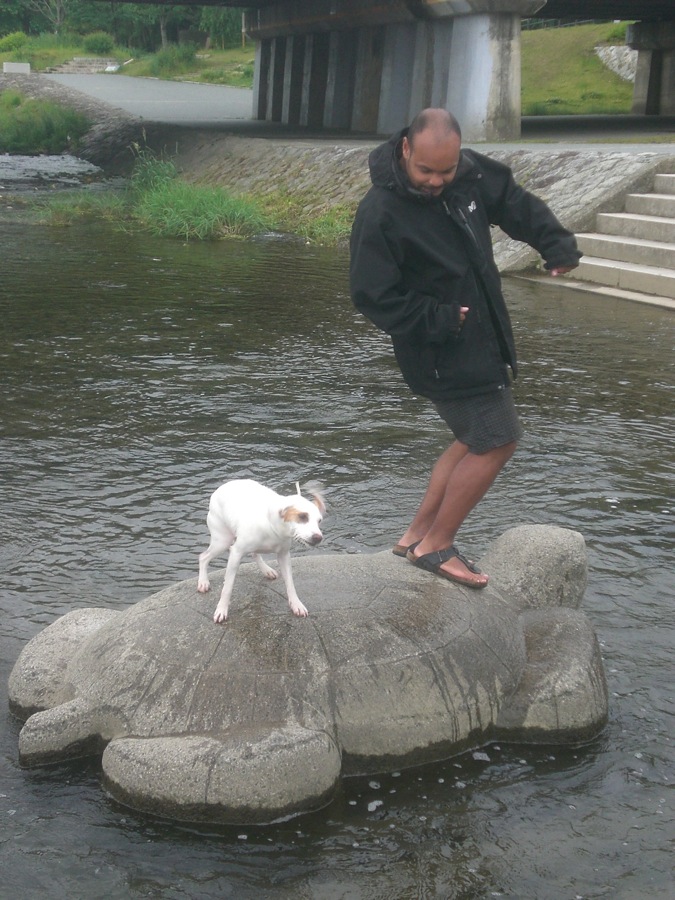 François et Carlo qui se secoue sur une tortue de la rivière Kamogawa