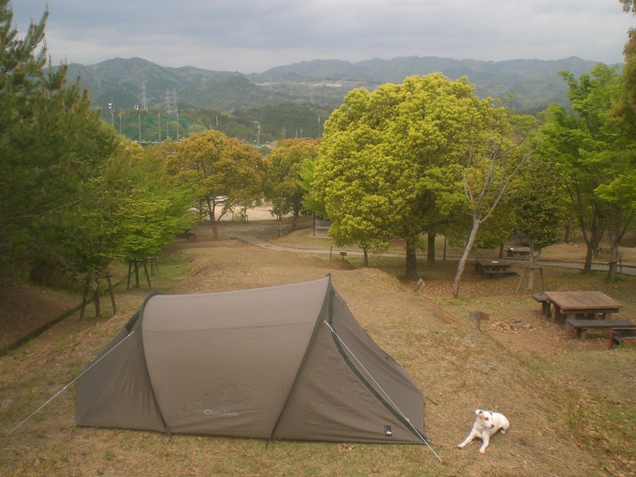 Camping à Iwakuni: au sommet d'une montagne, entourés de dinosaures qui rugissent! Carlo monte la garde