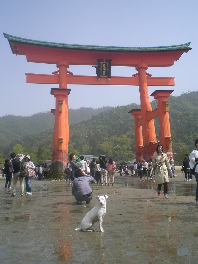 La porte (ou Torii) du temple... à marée basse