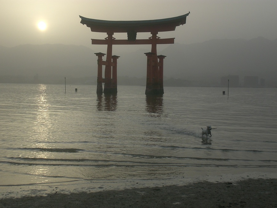 La porte (ou Torii) du temple un peu plus tard dans la soirée: la marée monte. Avez-vous repéré notre mascotte sur la photo?!
