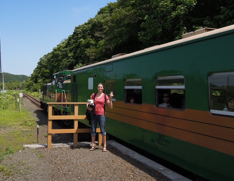 Le petit train touristique Norocco pour aller voir les fameux marais